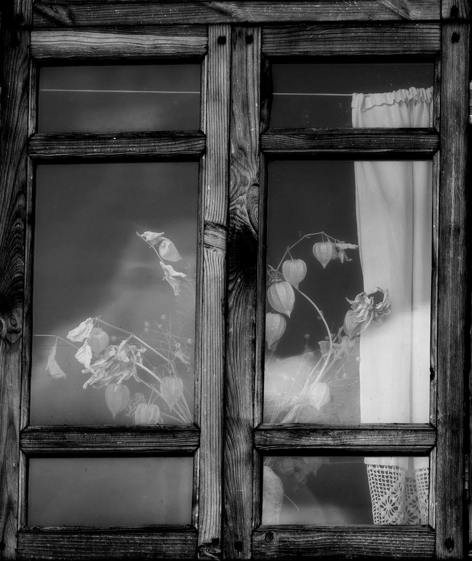 Fév 2026 Simone GUILLET (A travers la fenêtre)