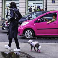 Fév 2025 Christian TI-I-TAMING (Photo de rue)